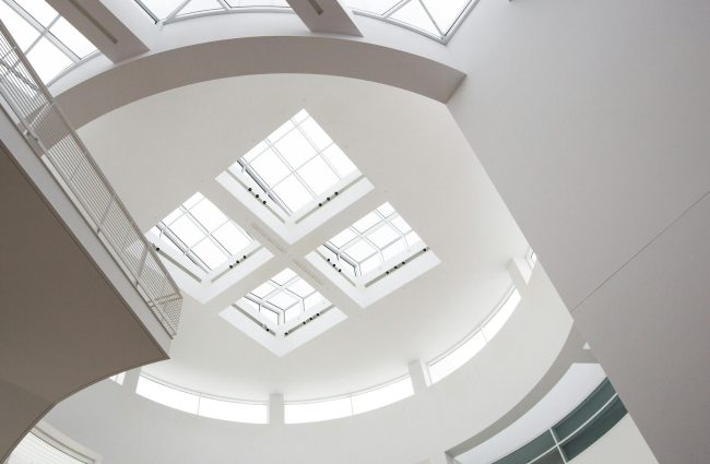 Commercial Skylight